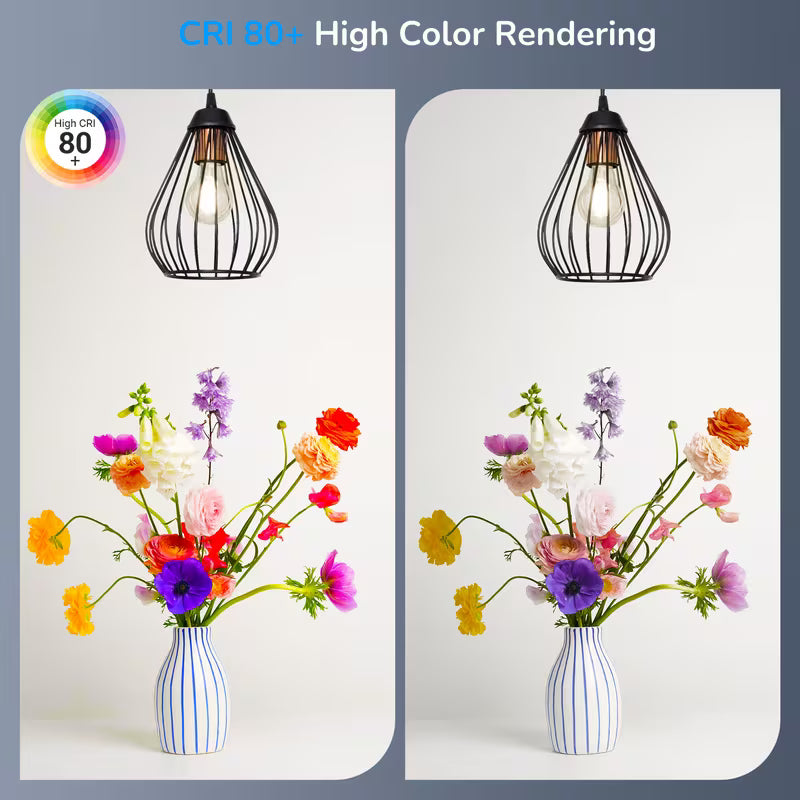 LED Edison Bulbs, A19 Style E26 Dimmable Light Bulb, 800LM 4000K Warm Amber Cool White Light